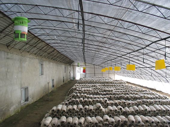 武進(jìn)科創(chuàng)食用菌有限公司