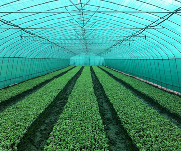 溫室農(nóng)用遮陽網(wǎng)