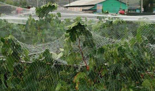 江蘇綠盛園藝用品有限公司