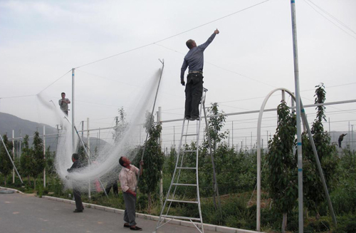 江蘇綠盛園藝用品有限公司