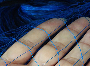 葡萄園專用防鳥網